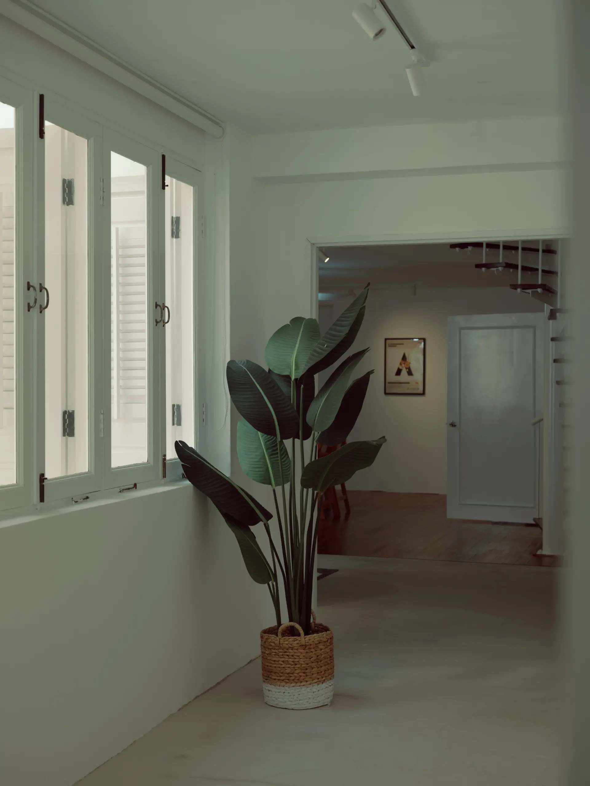 banner image
